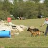 National Search Dog Alliance Conference
